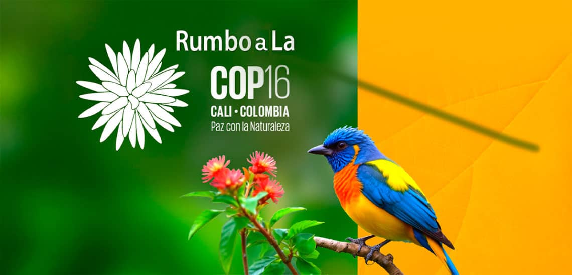En este momento estás viendo ¿Qué es la COP16 y por qué es tan importante para el cambio climático?